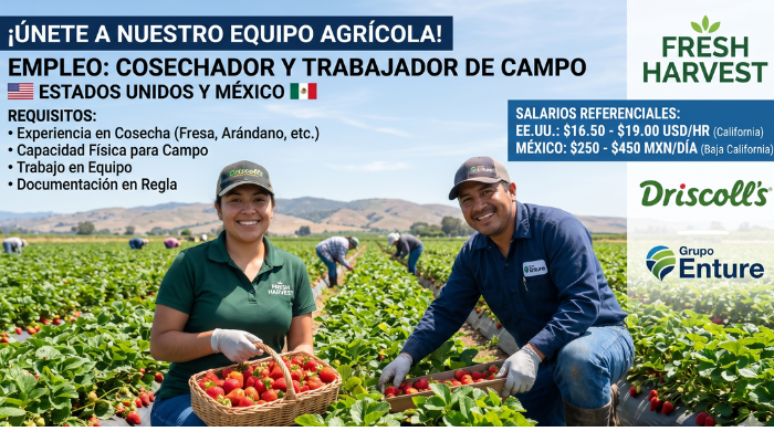 Cosechador Agrícola